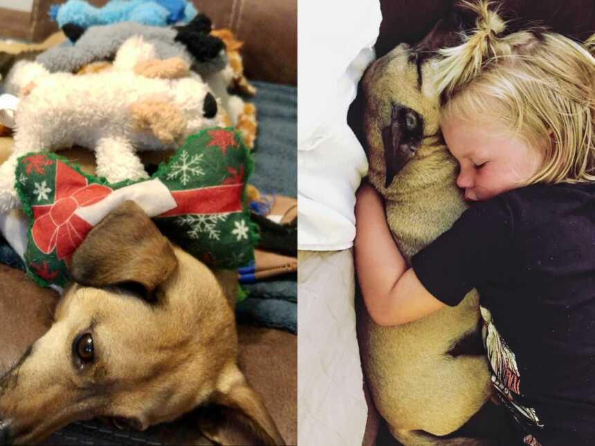 baby laying with puppy